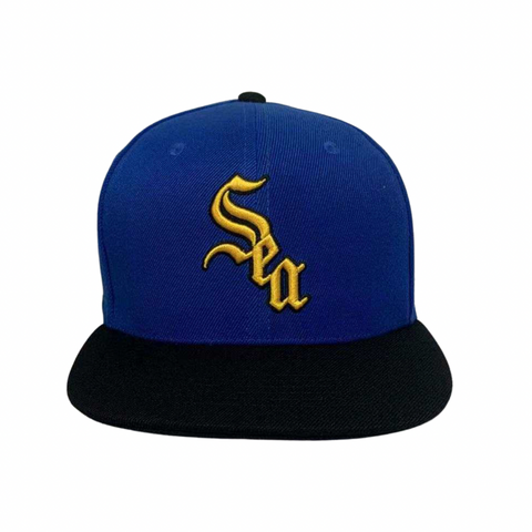 SeaSox 'City Connect' Hat